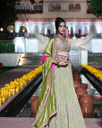 Classic Lehenga
Set