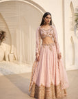 Rosaline Chikankari Lehenga