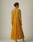 Mustard Chiffon & Tulle Embroidered Jacket Set