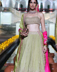 Classic Lehenga
Set