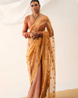 Vritra Saree Set