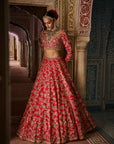 Red Crystal Lehenga Set