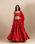 Classic Lehenga Set - Red