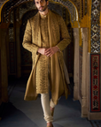 Antique Gold Tissue Sherwani Set