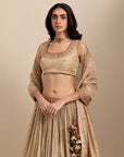 Banarasi Lehenga Set - Gold