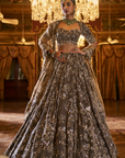 Antique Brown Tissue lehenga Set