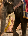 Kamya Lehenga Set