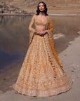 Clementine Lehenga Set