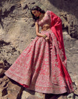 Ember Lehenga Set - Cherry Red