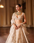 Athena Lehenga Set