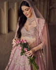 Blush Pink Akhila Lehenga Set