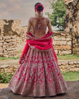 Cherry Red Anita Lehenga Set