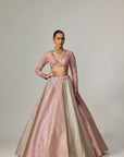 Dark Blush Multicolor Metallic Gota Crop Top Skirt
