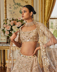 Rose Gold Mirror Work Lehenga Set