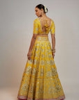 Golconda Anha Lehenga Set