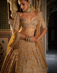 Gold Crystal Lehenga Set