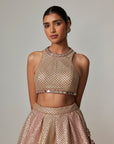 Deep Beige Multicolor With Crop Top