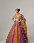 Mustard Multicolor Linear Lehenga With Cap Sleeve Blouse