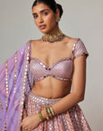 Lilac Gota Multicolor Heavy Metallic Lehenga With Cap Sleeve Blouse