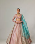 Dark Blush Multicolor Metallic Gota Crop Top Skirt With Aqua Dupatta
