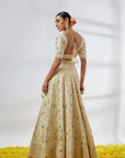 Rashi Lehenga