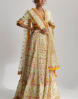 Aneha Lehenga Set