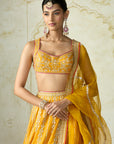 Samia Lehenga Set