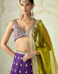 Sehrish Lehenga Set