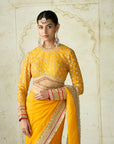 Dilruba Saree Set