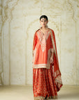 Ameena Sharara Set
