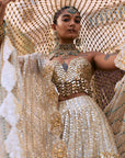 Rajbaraat Lehenga with Sheeshya Veil Set