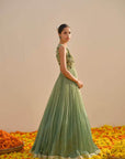 Green Shaded Gown