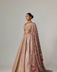 Deep Beige Multicolor Mettalic Lehenga Set