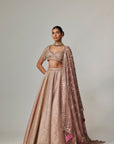 Deep Beige Multicolor Mettalic Lehenga Set