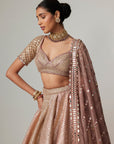 Deep Beige Multicolor Mettalic Lehenga Set
