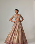 Deep Beige Multicolor Metallic Lehenga With Elbow Blouse