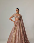 Deep Beige Multicolor Metallic Lehenga With Elbow Blouse