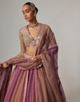 Mud Mauve Multicolor Chita Sequin Scattered Lehenga Set With V Neck Full Sleeves