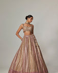 Deep Beige Multicolor Metallic Lehenga With Square Neck Blouse