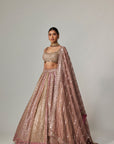 Deep Beige Multicolor Metallic Lehenga With Square Neck Blouse
