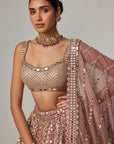 Deep Beige Multicolor Metallic Lehenga With Square Neck Blouse