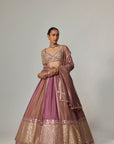 Mud Mauve Multicolor Sequin Scatter Lehenga With Elbow Sleeve Blouse