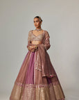 Mud Mauve Multicolor Sequin Scatter Lehenga With Elbow Sleeve Blouse