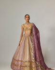 Mustard Multicolor Heavy Metallic Lehenga With Mud Mauve Dupatta
