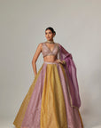 Mustard Multicolor Crop Top With Dupatta