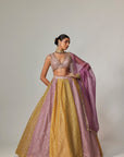 Mustard Multicolor Crop Top With Dupatta