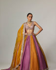 Mustard Multicolor Linear Lehenga With V Neck Blouse
