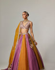Mustard Multicolor Linear Lehenga With V Neck Blouse