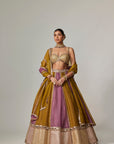 Green Multicolor Sequin Scatter Lehenga Set