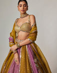 Green Multicolor Sequin Scatter Lehenga Set